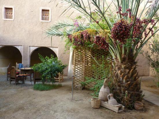 Hotel Kasbah Timidarte Zaouita Bou Lhassane Zewnętrze zdjęcie