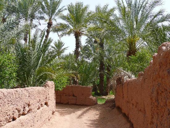 Hotel Kasbah Timidarte Zaouita Bou Lhassane Zewnętrze zdjęcie